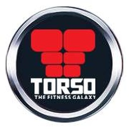 TORSO GYM