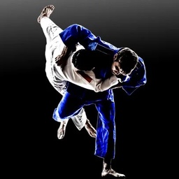 Hi-Force Sports