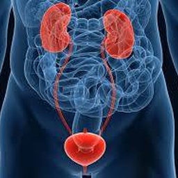 Urology - Services Hospital SIMS Lahore