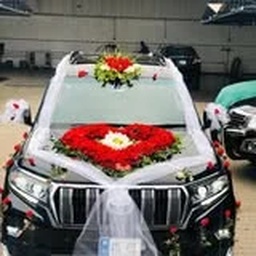 Naveed Motors & Rent A Car
