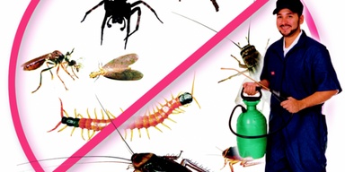 Secure fumigation in karachi