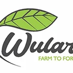 Wular Systems