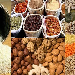Noble Traders