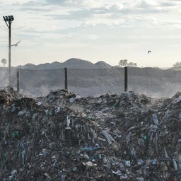 Environmental Management Consultants