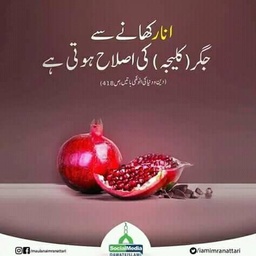 TIB E Nabvi Qadri dwakhana