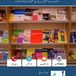 BAHISEEN
