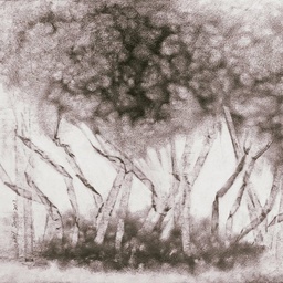 Studio Aakif Suri
