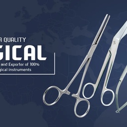 Mediheal Surgical Corporation