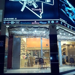 The Gun Store