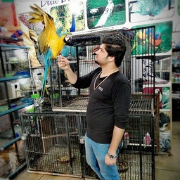 Al karam birds center