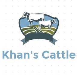 Khan's Cattle