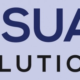 VISUAL SOLUTIONS