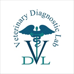 Veterinary Diagnostic Lab Lahore - VDL