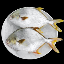 Ocean Gold Seafood