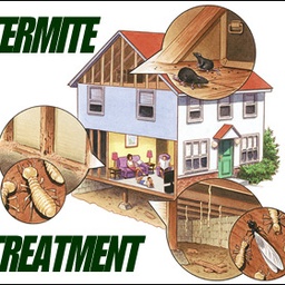 Shahz Fumigation Services