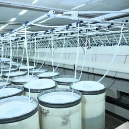 INTERNATIONAL TEXTILE LTD.-2