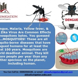 ABBAS FUMIGATION