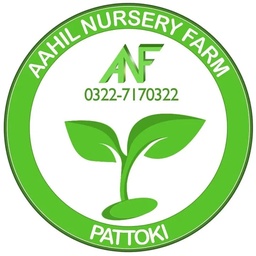 Aahil Nursery Farm