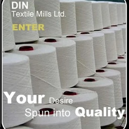 DIN GROUP OF COMPANIES