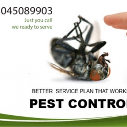 Shahz Fumigation Services