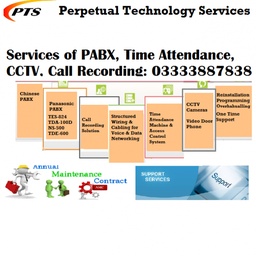 Perpetual Technology Services