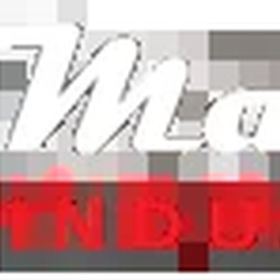 MARTS Industries