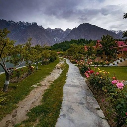 Pak Travellers