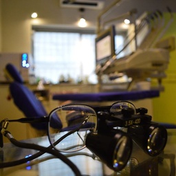 Teeth and Gums