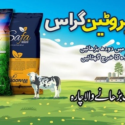 Noorani Seeds
