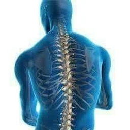 Physiotherapy at your home