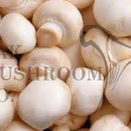 Pak Mushroom Co.