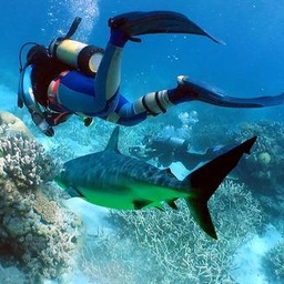 Deep Sea Adventure