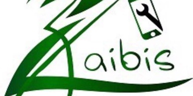 Zaibis Electronics