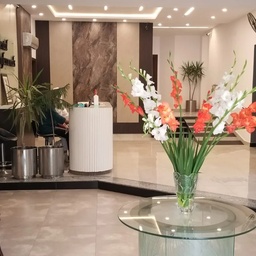 Dental Professionals - Pvt. Ltd.