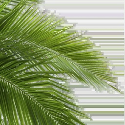 VALLEY IRRIGATION PAKISTAN (PV) LTD.