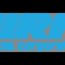 BURAQ SURGICAL CORPORATION