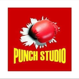 Punch studio