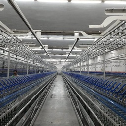 Nagina Cotton Mills Ltd.