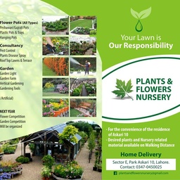 Plants & Flowers Nursery