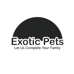 Exotic Pets