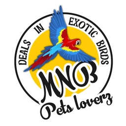 MNB PETS Loverz