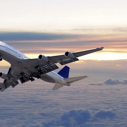 ACE CARGO