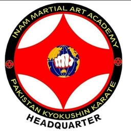 Inam martial arts academy