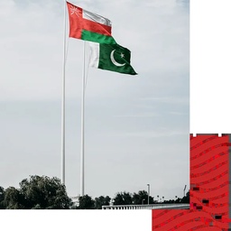 PAK OMAN INVESTMENT COMPANY