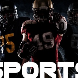 HALLA SPORTS INTERNATIONAL