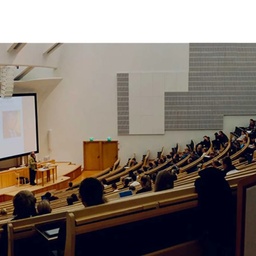 PROJECTOR UNION