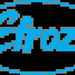 EFROZE CHEMICAL INDUSTRIES (PVT) LTD.