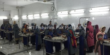International Fisheries Pak (Pvt) Ltd.
