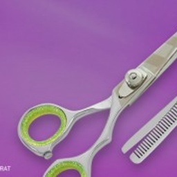 Concise Surgical