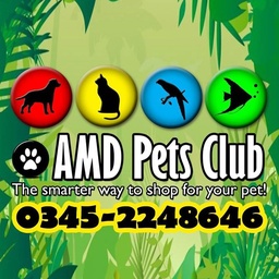 AMD Pets Club